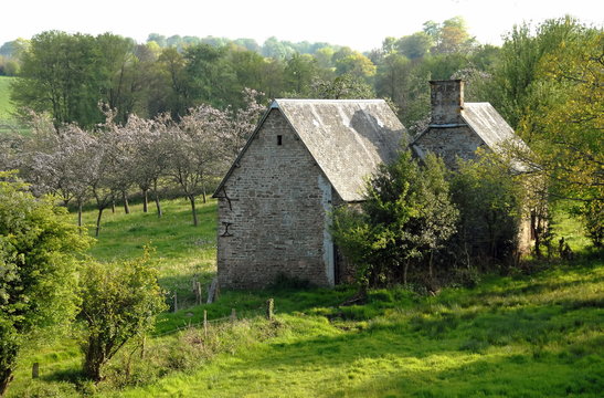 Maison bretonne dans la campagne, département de la Manche, France