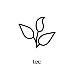 Green tea icon. Trendy modern flat linear vector Green tea icon on white background from thin line nature collection
