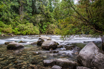 Gol-Gol River in the Puyehue national park in Chilean Patagonia