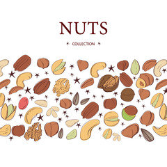 Nuts and seeds banners. Vector Hand drawn objects . Isolated on white. Modern brushpen Calligraphy. Design Template