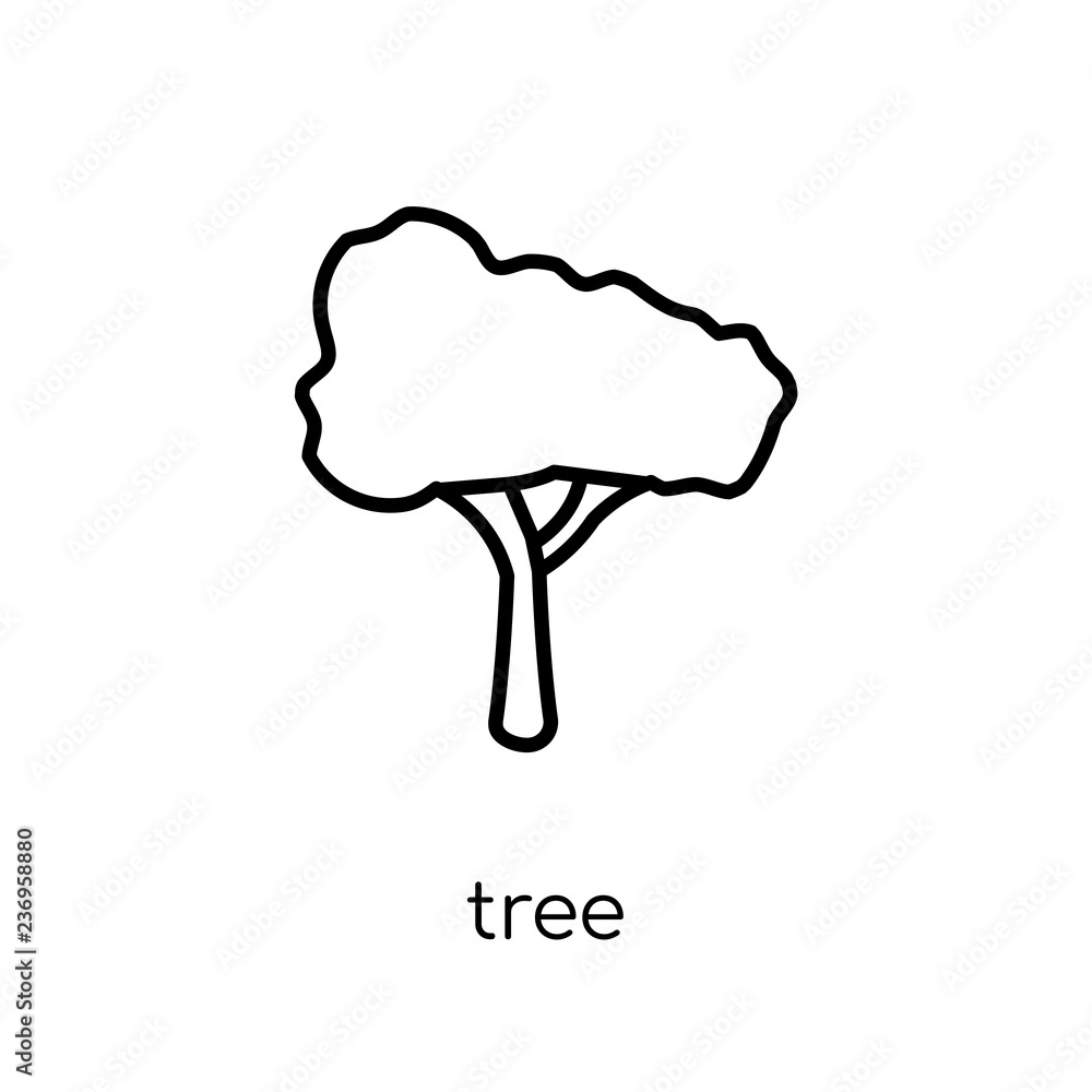 Poster tree icon. trendy modern flat linear vector tree icon on white background from thin line nature coll