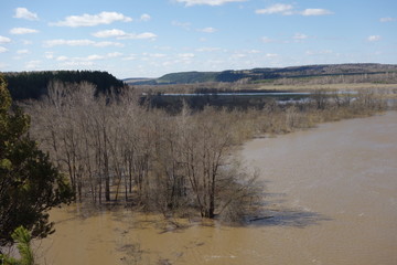 Nature Travel Landscape