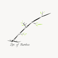 Fototapeta premium Bamboo hand drawn Vector illustration.