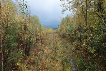 Nature Travel Landscape