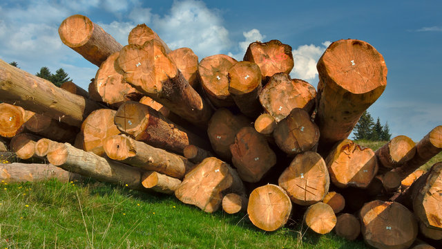 Optez pour une maison bois bien isol&eacute;e !