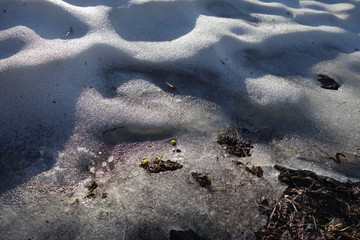 Nature Travel Landscape