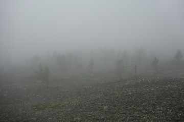 Nature Travel Landscape