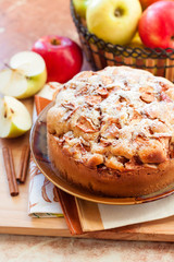 Homemade apple pie with cinnamon on the plate