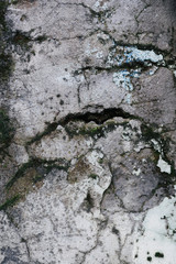 rough texture of a old gray wall.