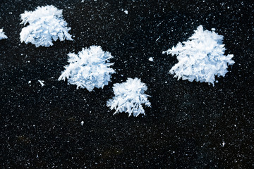 Obraz na płótnie Canvas snow flowers are a rare natural phenomenon