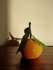 tangerine with a sprig