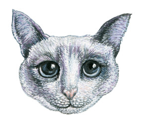 head white sad and hungry cat.for prints on clothes .illustration on isolated white background watercolor hand painting