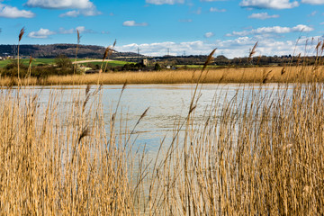 View from the banks of the River Medway at Snodland near Maidstone in Kent, England on a beautiful spring afternoon. In the distance can be seen the North Downs.