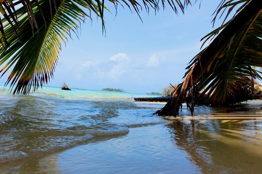 isla