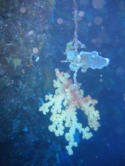 Underwater Submarine Subsea