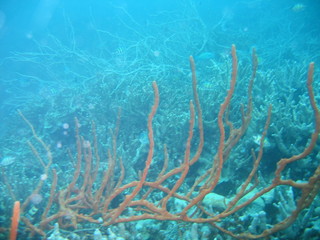 Underwater Submarine Subsea