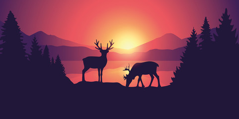 two moose in wildlife at beautiful lake in the mountains at sunrise vector illustration EPS10