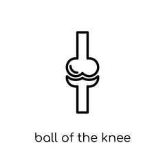 Ball of the knee icon. Trendy modern flat linear vector Ball of the knee icon on white background from thin line Human Body Parts collection