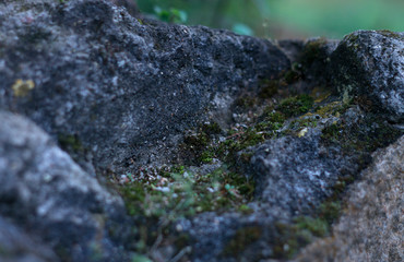The Stone
