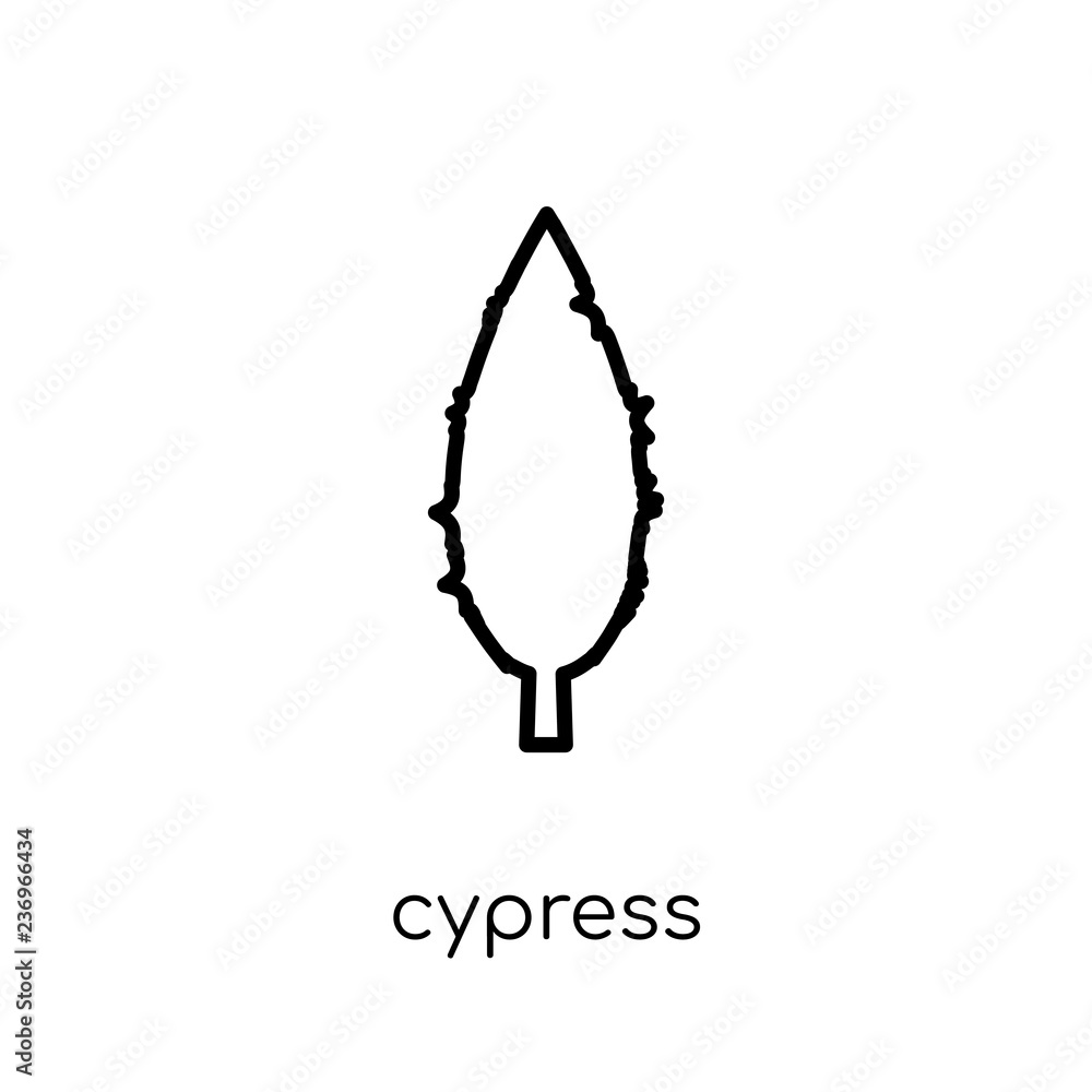 Poster cypress icon. trendy modern flat linear vector cypress icon on white background from thin line natur