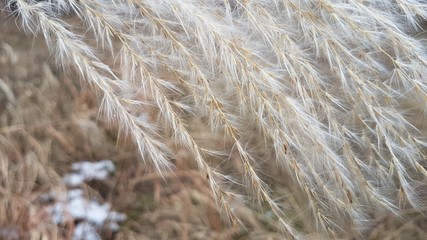 Winter time