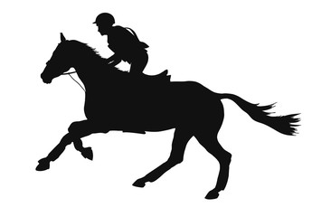 Equestrian sport, eventing competition, silhouette of a rider.