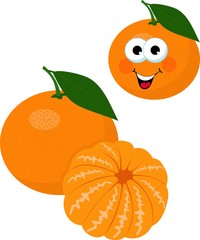 Mandarines, tangerine, clementine with leaves isolated on white background. Citrus fruit. Funny cartoon character. Vector Illustration