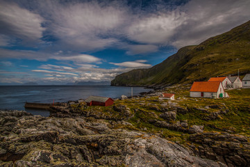 runde - wyspa w norwegi © slawjanek