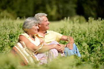 Portrait of nice mature couple sitting on green grass in summer park
