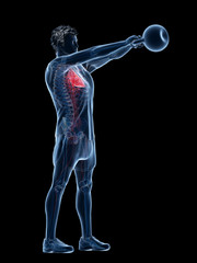 Obraz premium 3d rendered medically accurate illustration of a man doing a kettlebell workout
