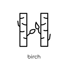 Birch icon. Trendy modern flat linear vector Birch icon on white background from thin line nature collection