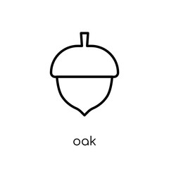 Oak icon. Trendy modern flat linear vector Oak icon on white background from thin line nature collection