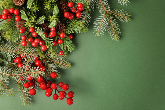 Christmas tree branches, pinecones and holly on green background. Free space for text