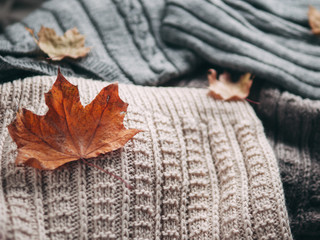 Background with warm sweaters. Top view of hand knitted clothes with autumn dry leaves