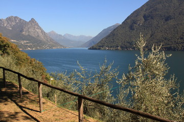 Romantischer Pfad durch den Olivenhain von Gandria am Luganer See