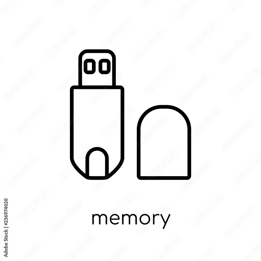 Poster memory icon. trendy modern flat linear vector memory icon on white background from thin line hardwar