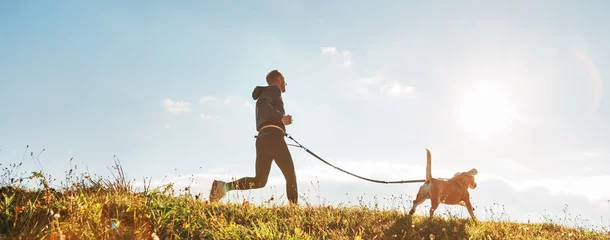 Papier Peint photo Jogging Exercices de canicross. L& 39 homme court avec son chien beagle au matin ensoleillé. Concept de mode de vie sain.