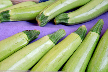 zucchini harvest close up