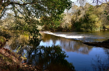 Forest with river, exuberant vegetation and waterfall. Trees with autumn colours and water reflections.  Galicia, Spain.