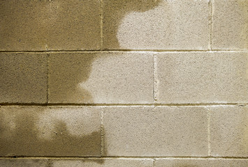 humidity in buildings