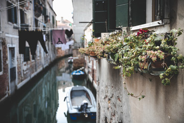 Venice by day italy