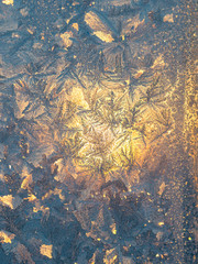  frost on the window
