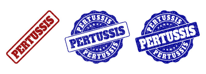 PERTUSSIS grunge stamp seals in red and blue colors. Vector PERTUSSIS labels with grainy surface. Graphic elements are rounded rectangles, rosettes, circles and text labels.
