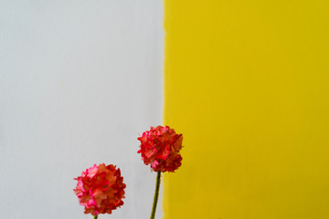 Artificial Flowers on white and yellow background