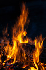 Fire, flames on a black background.