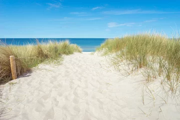 Fototapeten Strandzugang an der Ostsee © ThomBal