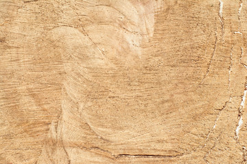  sawn end, wood background, close up