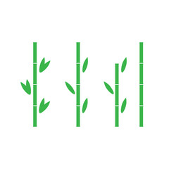 Fototapeta na wymiar Bamboo vector. Bamboo plant stalks and leaves background.