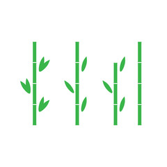 Bamboo vector. Bamboo plant stalks and leaves background.