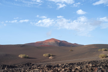 Fototapeta na wymiar Desert stone volcanic landscape in Lanzarote, Canary Islands